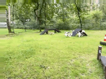 Kromfohrl&auml;nder
