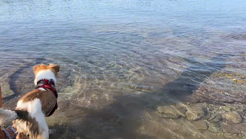 Kromfohrl&auml;nder