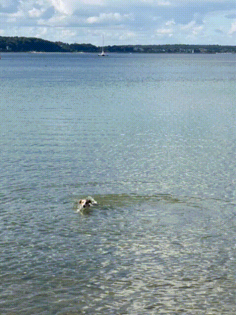 Kromfohrl&auml;nder